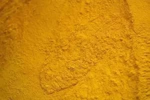 Bột Gluten ngô (60% Protein tối thiểu) - Indonesia